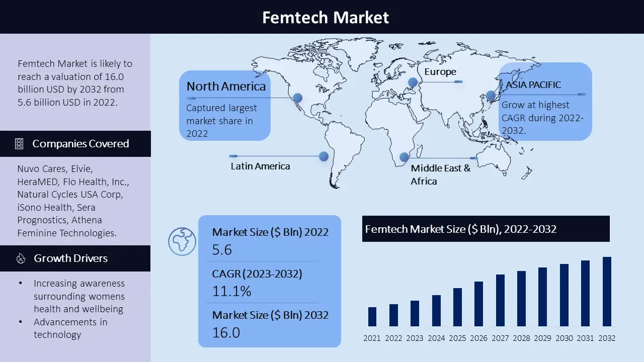 Femtech Market Infographics
